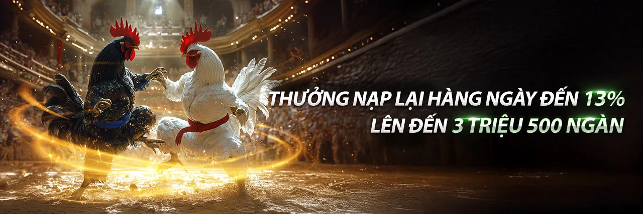 Đá Gà Trực Tuyến xoso1234 link vào